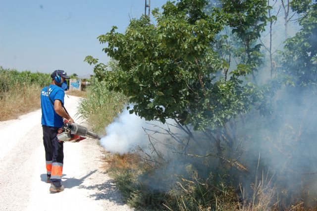 Los ayuntamientos de la comarca articulan un nuevo año en Alguazas - 2, Foto 2