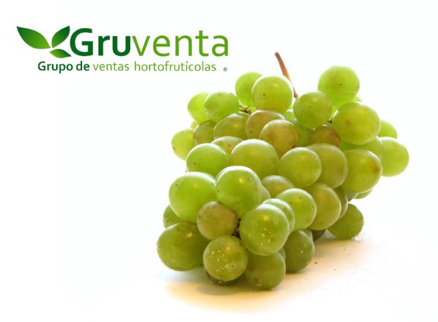 GRUVENTA prevé una campaña de uva de mesa de alta calidad y con una gran proyección internacional - 1, Foto 1