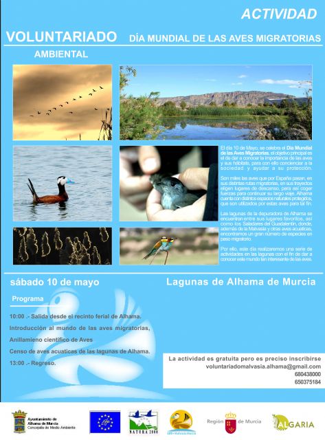 La Concejalía de Medio Ambiente presenta el Programa de Voluntariado Ambiental para la conservación de la Malvasía Cabeciblanca - 1, Foto 1