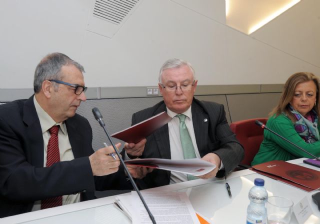 La Universidad de Murcia colaborará para facilitar la inclusión en actividades de ocio de personas con discapacidad - 3, Foto 3