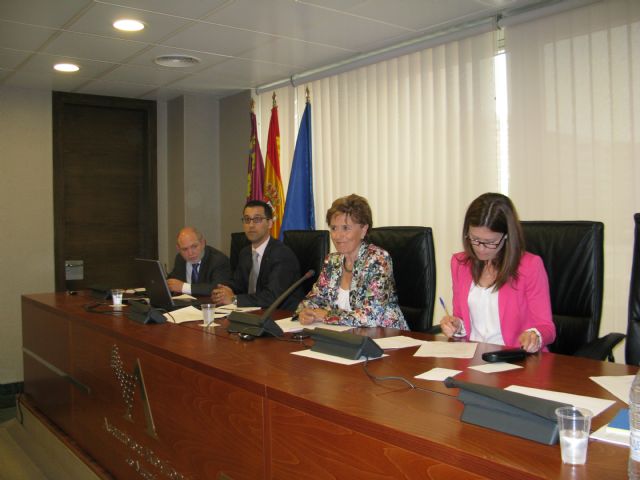 Maria Dolores Soler, nueva presidenta de la Comisión de Asuntos Generales e Institucionales y de la Unión Europea - 1, Foto 1