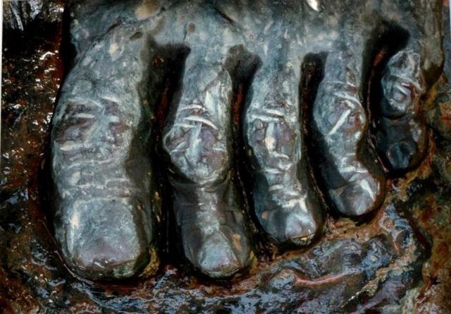 ´Detalles urbanos´ ya tiene ganadores - 3, Foto 3