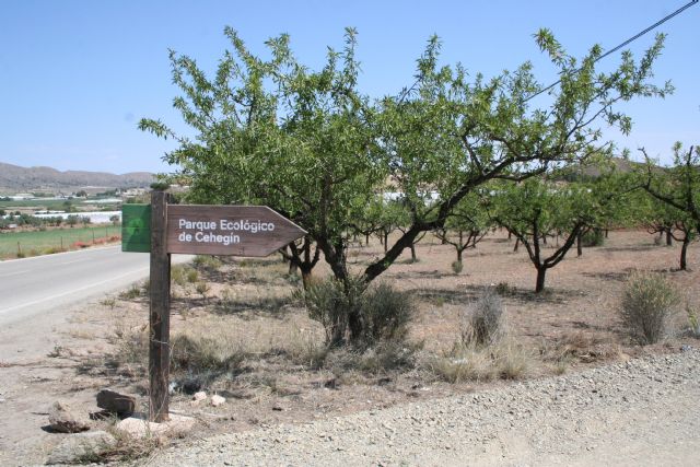 Medio Natural acondiciona tres kilómetros de la pista forestal que lleva al Coto de las Maravillas - 2, Foto 2
