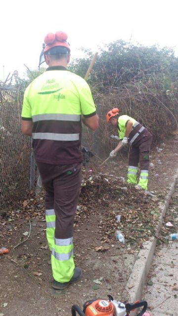 Medio Ambiente limpia un solar en la calle Metal de San Antón - 2, Foto 2
