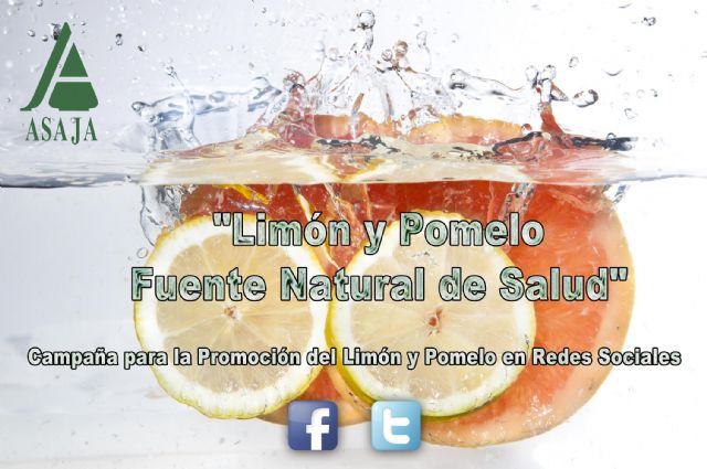 ASAJA murcia comienza la promoción en redes sociales bajo el lema: Limón y pomelo: fuente natural de salud - 1, Foto 1