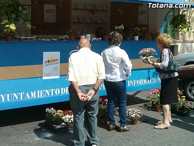 Totana conmemora el Da Internacional de la Fibromialgia y la Fatiga Crnica con la lectura de un manifiesto - 2