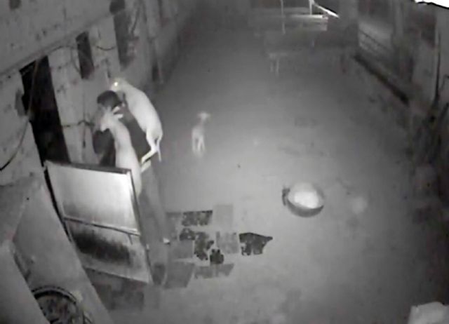 La Guardia Civil detiene a ocho personas por robos en fincas y granjas de la Región durante los últimos días - 1, Foto 1