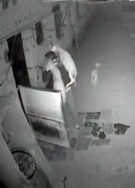 La Guardia Civil detiene a ocho personas por robos en fincas y granjas de la Región durante los últimos días - 2, Foto 2