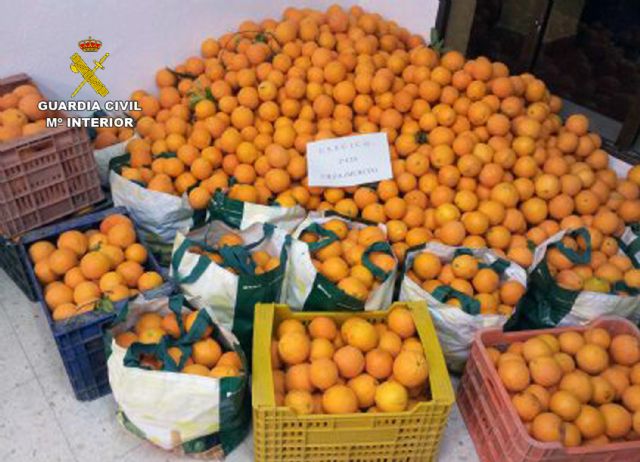 La Guardia Civil detiene a ocho personas por robos en fincas y granjas de la Región durante los últimos días - 5, Foto 5