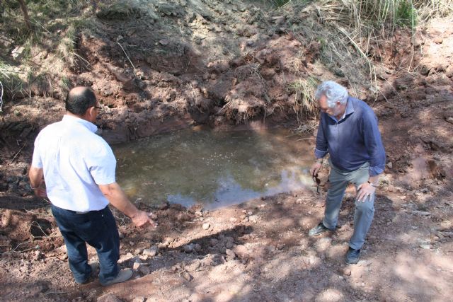 La Sociedad de Cazadores emprende actuaciones para mejorar la calidad de vida de las especies cinegéticas - 4, Foto 4