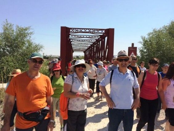 Más de 400 personas recorren paisajes y monumentos de Alguazas en el Día Nacional de las Vías Verdes - 1, Foto 1