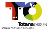 El ayuntamiento ampla hasta el 30 de mayo el plazo para que los hosteleros soliciten su adhesin a la marca corporativa 'Totana Origen'