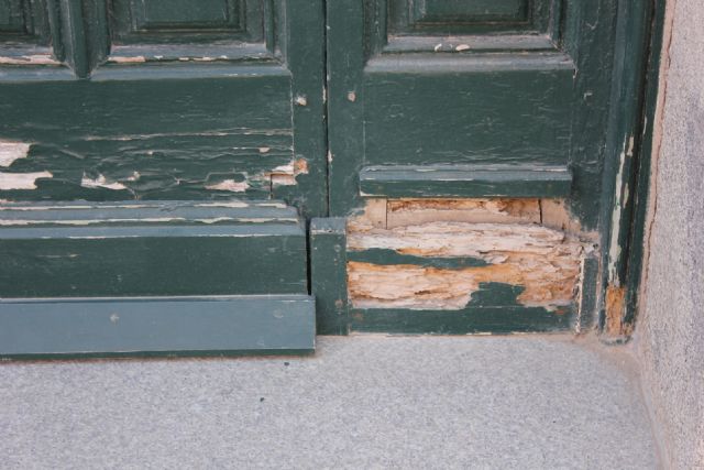 MC quiere que se realicen trabajos urgentes de restauración en la Estación de Cartagena para evitar su deterioro - 2, Foto 2