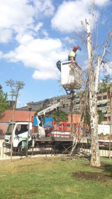 Mejoras en el jardín Pedro Flores del barrio de El Carmen - 1, Foto 1