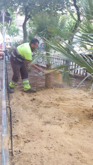 Mejoras en el jardín Pedro Flores del barrio de El Carmen - 2, Foto 2