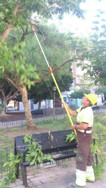 Mejoras en el jardín Pedro Flores del barrio de El Carmen - 3, Foto 3