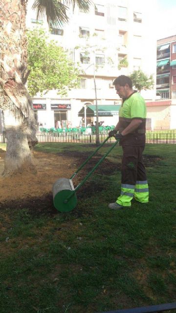 Mejoras en el jardín Pedro Flores del barrio de El Carmen - 4, Foto 4