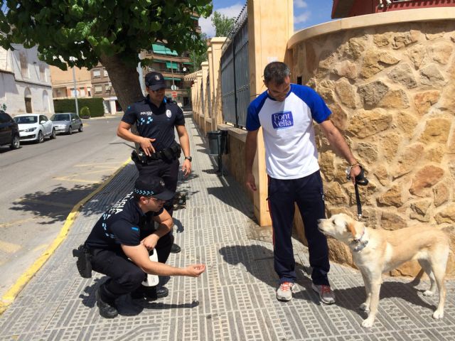 La Policía Local colabora en la campaña especial de la puesta de microchip a animales de compañía - 2, Foto 2
