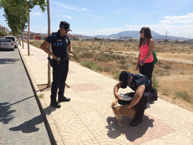 La Policía Local colabora en la campaña especial de la puesta de microchip a animales de compañía - 3, Foto 3