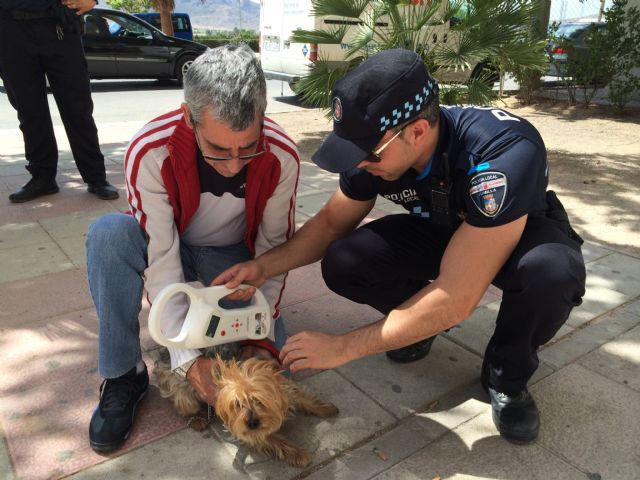 La Policía Local colabora en la campaña especial de la puesta de microchip a animales de compañía - 4, Foto 4