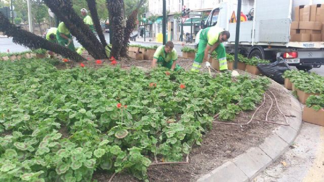 1.200 geranios lucen ya en los parterres de Ronda de Garay - 3, Foto 3