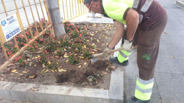 1.200 geranios lucen ya en los parterres de Ronda de Garay - 4, Foto 4