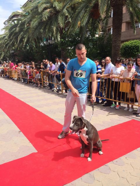 Más de medio centenar de animales participan en la II Edición de la Garrapata Fashion Week - 2, Foto 2