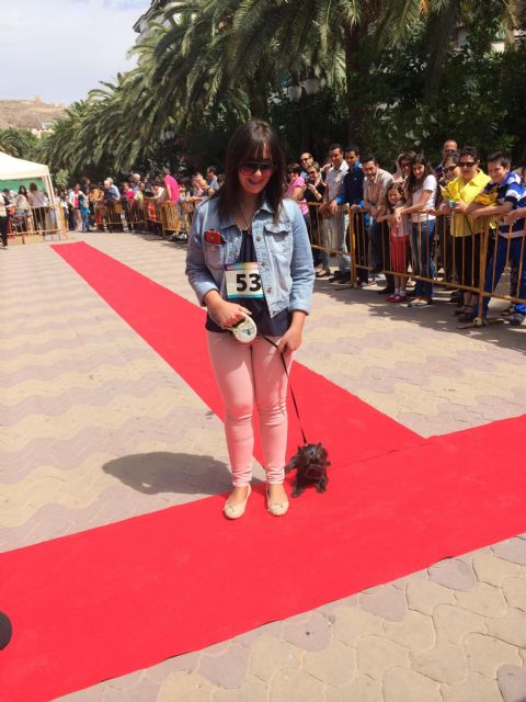 Más de medio centenar de animales participan en la II Edición de la Garrapata Fashion Week - 4, Foto 4