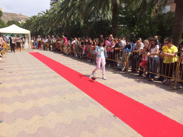 Más de medio centenar de animales participan en la II Edición de la Garrapata Fashion Week - 5, Foto 5