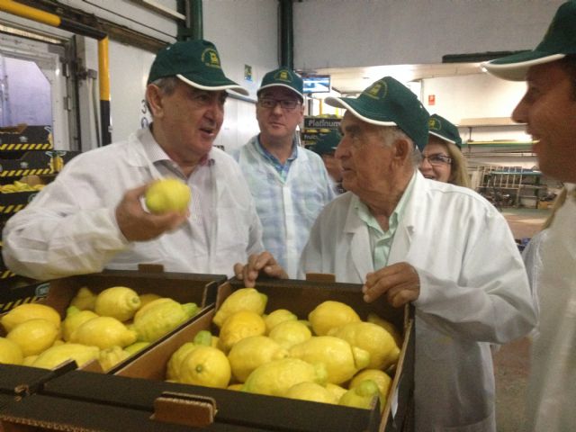 González Tovar: La creación de empleo tiene que venir de la mano del impulso de la actividad emprendedora - 1, Foto 1