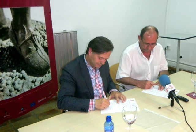 Bullas recibirá la visita de 20.000 austriacos entre los próximos dos años - 2, Foto 2