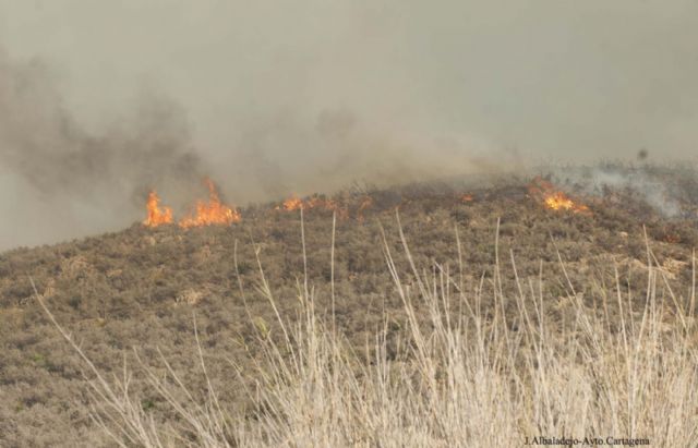 Estabilizado el incendio del Barranco de Orfeo que ha quemado 120 hectáreas de matorral - 1, Foto 1