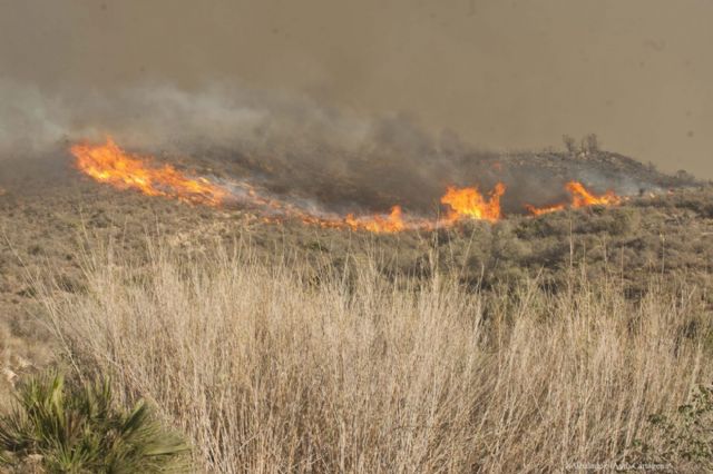 Estabilizado el incendio del Barranco de Orfeo que ha quemado 120 hectáreas de matorral - 4, Foto 4