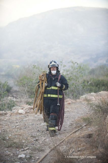 Estabilizado el incendio del Barranco de Orfeo que ha quemado 120 hectáreas de matorral - 5, Foto 5