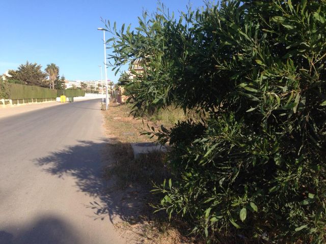 MC denuncia que no hay aceras en una zona de La Manga catalogada como residencial consolidada - 4, Foto 4