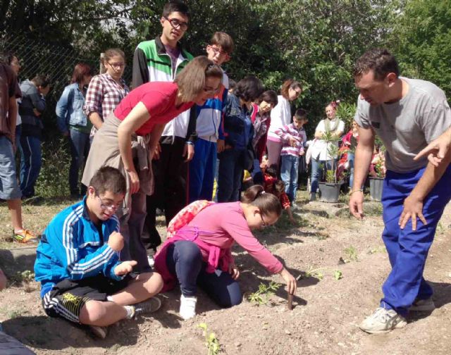 Ascruz participa en la plantación de especies del huerto ecológico del vivero de las Fuentes del Marqués - 2, Foto 2