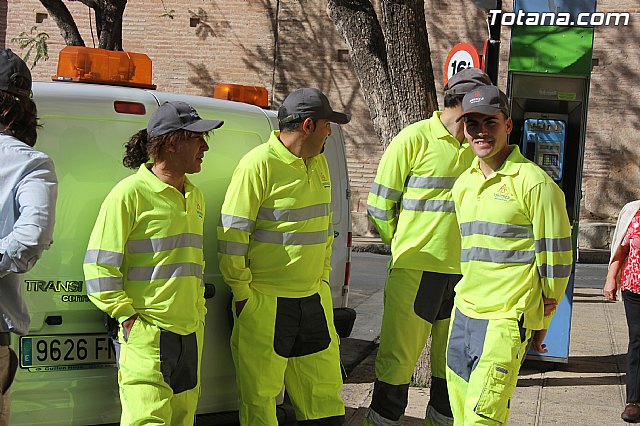 El ayuntamiento mejora el servicio de control de plagas - 2