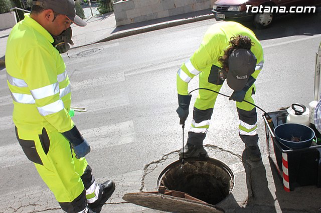 El ayuntamiento mejora el servicio de control de plagas - 11