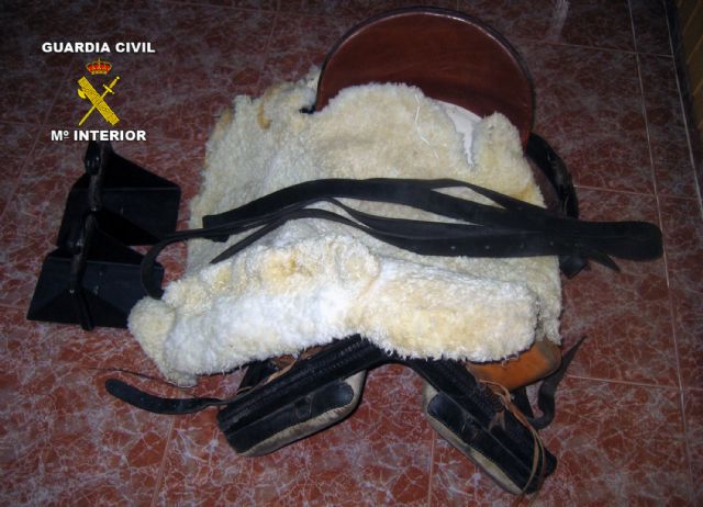 La Guardia Civil detiene a cuatro personas relacionadas con una decena de robos en fincas y granjas de Moratalla - 3, Foto 3