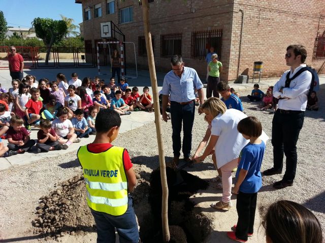 Cerca de 49.000 escolares de 58 centros educativos del municipio participan en el programa Escuelas Verdes - 3, Foto 3