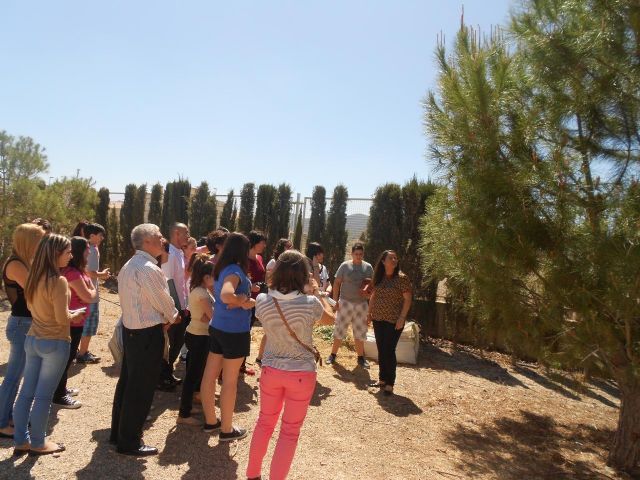 Cerca de 49.000 escolares de 58 centros educativos del municipio participan en el programa Escuelas Verdes - 4, Foto 4