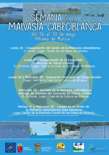 El Jardn de Los Patos se convertir, por unos das, en el Jardn de la Malvasa Cabeciblanca, Foto 1