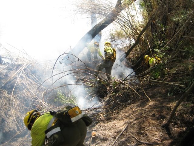 Medio Ambiente adelanta el ´Plan Thader´ de prevención contra incendios en las riberas de los ríos y ramblas de la Región - 1, Foto 1