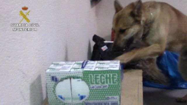 La Guardia Civil detiene a 26 personas e imputa a otras 2 como integrantes de una organización criminal  dedicada a estafas en las revisiones de gas - 1, Foto 1