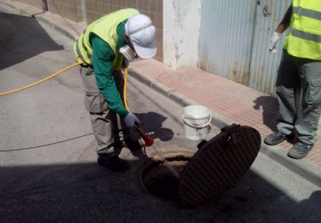 El Ayuntamiento torreño comienza los tratamientos anuales de desratización y desinsectación del alcantarillado local - 1, Foto 1