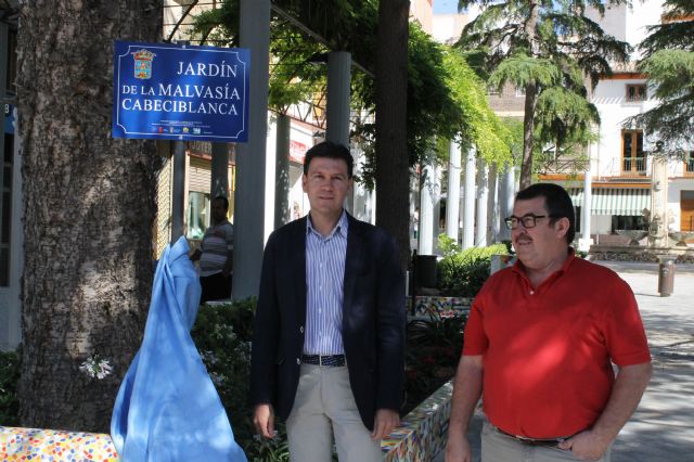 Los patos de nuestro cntrico jardn se convierten en malvasas durante tres das, Foto 1