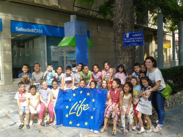 Los patos de nuestro cntrico jardn se convierten en malvasas durante tres das, Foto 2