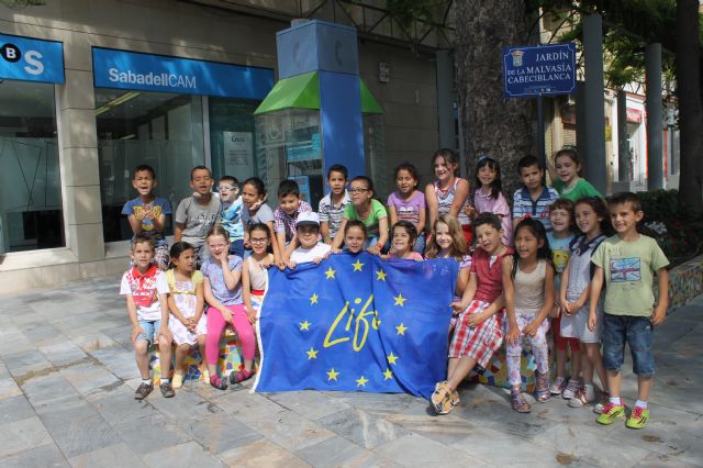 Los patos de nuestro cntrico jardn se convierten en malvasas durante tres das, Foto 3