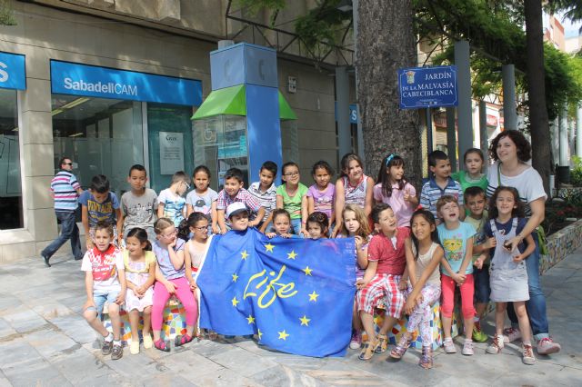 Los patos de nuestro cntrico jardn se convierten en malvasas durante tres das, Foto 4