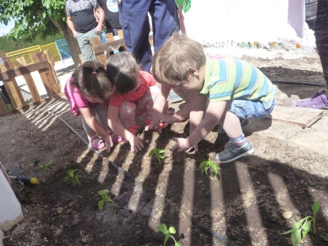 La Escuela Infantil Consolación de Molina de Segura pone en marcha un huerto escolar - 2, Foto 2